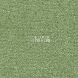 Ковролин Radici Nexus Lichene 8225 фото 1 | FLOORDEALER